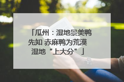 瓜州：湿地景美鸭先知 赤麻鸭为荒漠湿地“上大分”