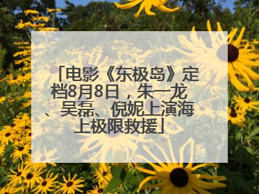 电影《东极岛》定档8月8日，朱一龙、吴磊、倪妮上演海上极限救援