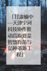 甘肃榆中—天津宁河科技协作推动高原夏菜智慧育苗与品种革新工程