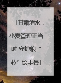 甘肃清水：小麦管理正当时 守护粮“芯”绘丰景