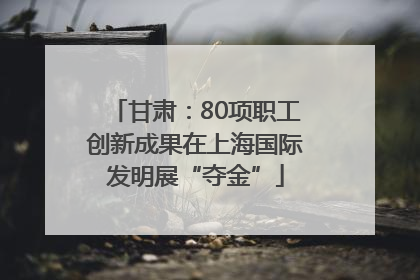 甘肃：80项职工创新成果在上海国际发明展“夺金”