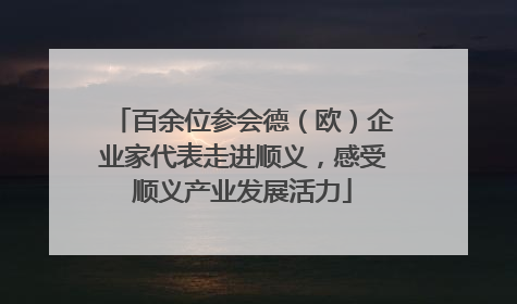百余位参会德（欧）企业家代表走进顺义，感受顺义产业发展活力