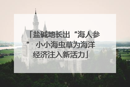 盐碱地长出“海人参” 小小海虫草为海洋经济注入新活力