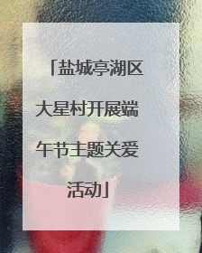 盐城亭湖区大星村开展端午节主题关爱活动