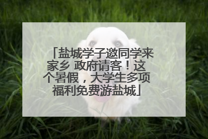 盐城学子邀同学来家乡 政府请客！这个暑假，大学生多项福利免费游盐城