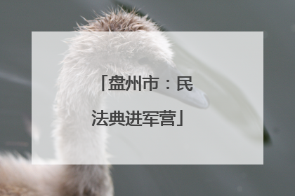 盘州市：民法典进军营