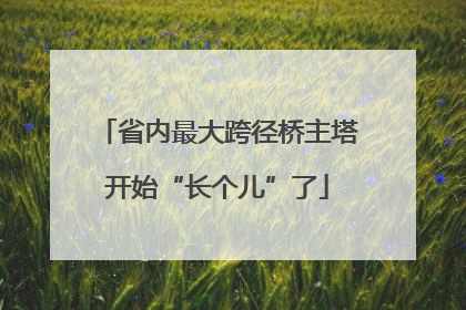 省内最大跨径桥主塔开始“长个儿”了