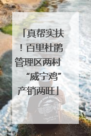 真帮实扶！百里杜鹃管理区两村“威宁鸡”产销两旺