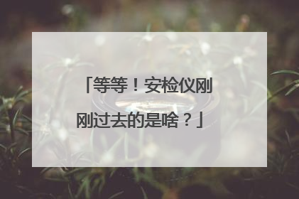 等等！安检仪刚刚过去的是啥？