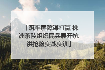 筑牢屏障谋打赢 株洲茶陵组织民兵展开抗洪抢险实战实训