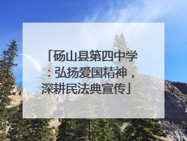 砀山县第四中学：弘扬爱国精神，深耕民法典宣传
