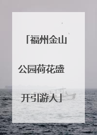 福州金山公园荷花盛开引游人