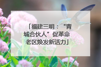 福建三明：“青城合伙人”促革命老区焕发新活力