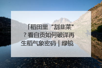 稻田里“割韭菜”？看自贡如何破译再生稻气象密码｜绿镜头·发现中国