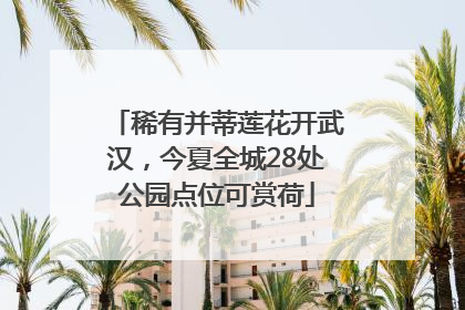 稀有并蒂莲花开武汉，今夏全城28处公园点位可赏荷