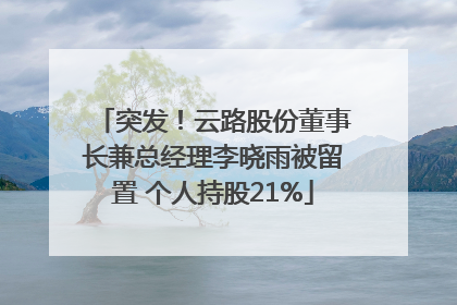 突发！云路股份董事长兼总经理李晓雨被留置 个人持股21%