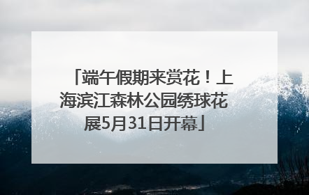 端午假期来赏花！上海滨江森林公园绣球花展5月31日开幕