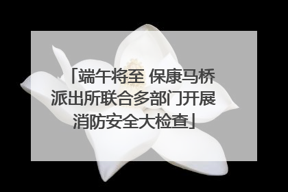 端午将至 保康马桥派出所联合多部门开展消防安全大检查