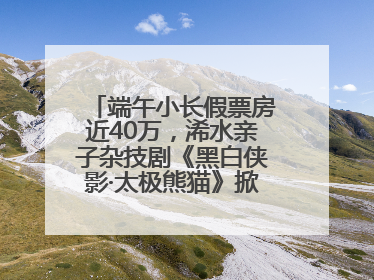 端午小长假票房近40万，浠水亲子杂技剧《黑白侠影·太极熊猫》掀起观演热潮