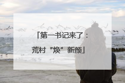 第一书记来了：荒村“焕”新颜