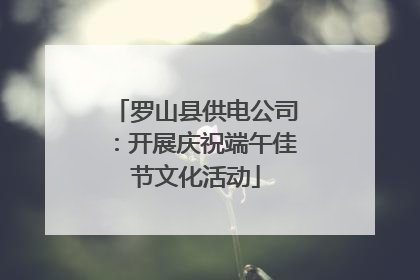 罗山县供电公司：开展庆祝端午佳节文化活动