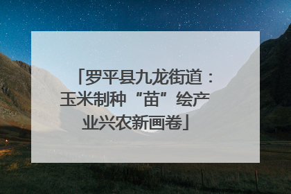 罗平县九龙街道：玉米制种“苗”绘产业兴农新画卷