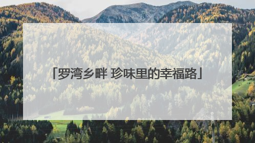 罗湾乡畔 珍味里的幸福路