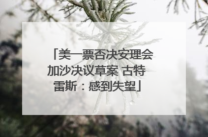 美一票否决安理会加沙决议草案 古特雷斯：感到失望