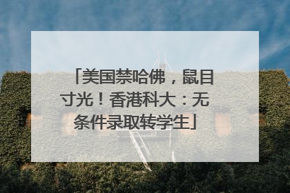 美国禁哈佛，鼠目寸光！香港科大：无条件录取转学生