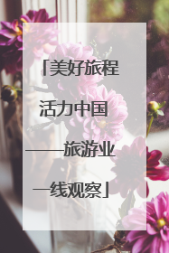 美好旅程 活力中国——旅游业一线观察