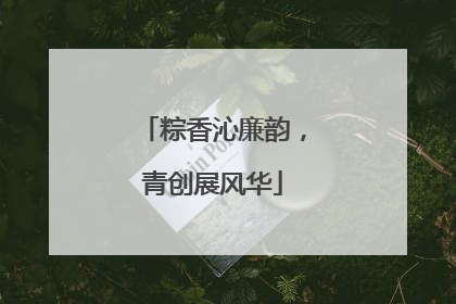 粽香沁廉韵，青创展风华