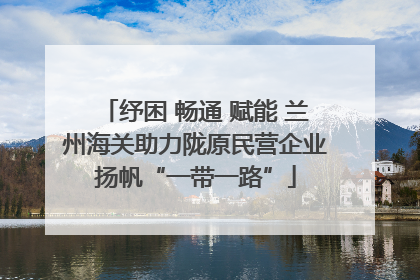 纾困 畅通 赋能 兰州海关助力陇原民营企业扬帆“一带一路”