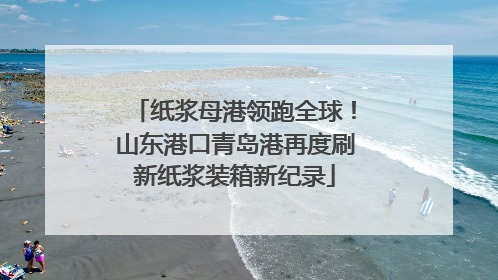 纸浆母港领跑全球！山东港口青岛港再度刷新纸浆装箱新纪录