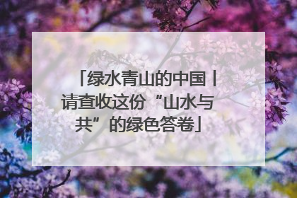 绿水青山的中国丨请查收这份“山水与共”的绿色答卷