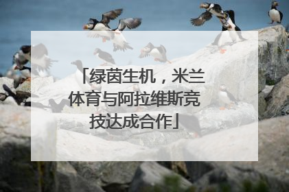 绿茵生机，米兰体育与阿拉维斯竞技达成合作