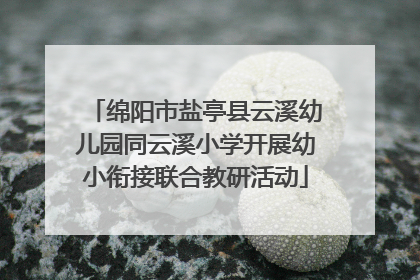 绵阳市盐亭县云溪幼儿园同云溪小学开展幼小衔接联合教研活动