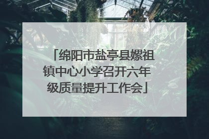 绵阳市盐亭县嫘祖镇中心小学召开六年级质量提升工作会