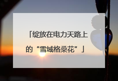 绽放在电力天路上的“雪域格桑花”