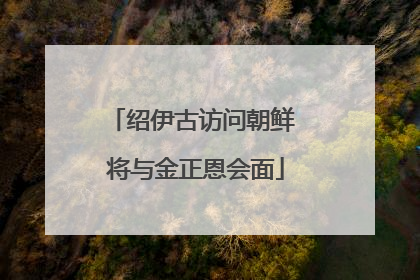 绍伊古访问朝鲜 将与金正恩会面