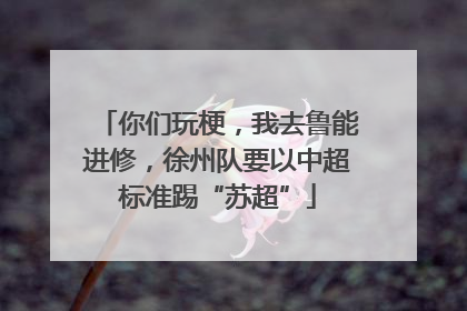 你们玩梗，我去鲁能进修，徐州队要以中超标准踢“苏超”