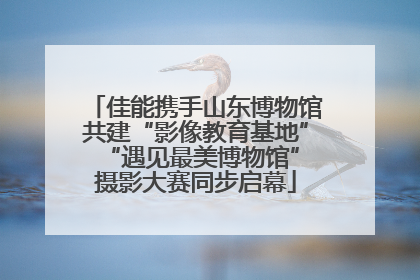 佳能携手山东博物馆共建“影像教育基地” “遇见最美博物馆”摄影大赛同步启幕