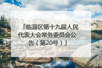 临淄区第十九届人民代表大会常务委员会公告（第20号）