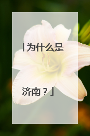 为什么是济南？