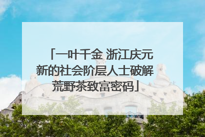 一叶千金 浙江庆元新的社会阶层人士破解荒野茶致富密码