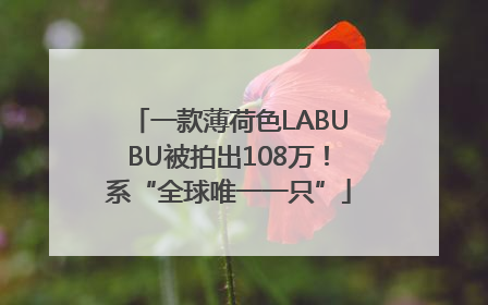 一款薄荷色LABUBU被拍出108万！系“全球唯一一只”