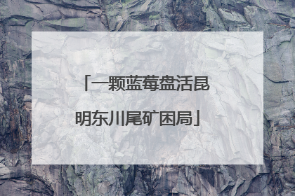 一颗蓝莓盘活昆明东川尾矿困局