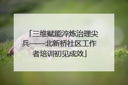 三维赋能淬炼治理尖兵——北新桥社区工作者培训初见成效