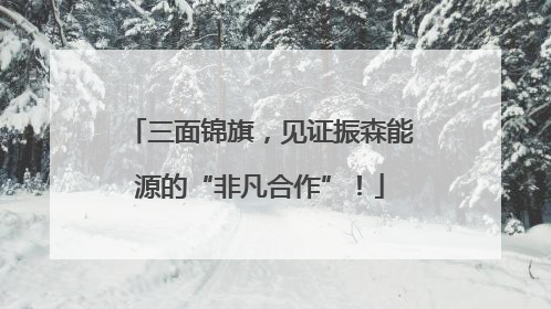 三面锦旗，见证振森能源的“非凡合作”！
