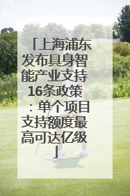 上海浦东发布具身智能产业支持16条政策：单个项目支持额度最高可达亿级