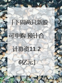 下周两只新股可申购 预计合计募资11.26亿元